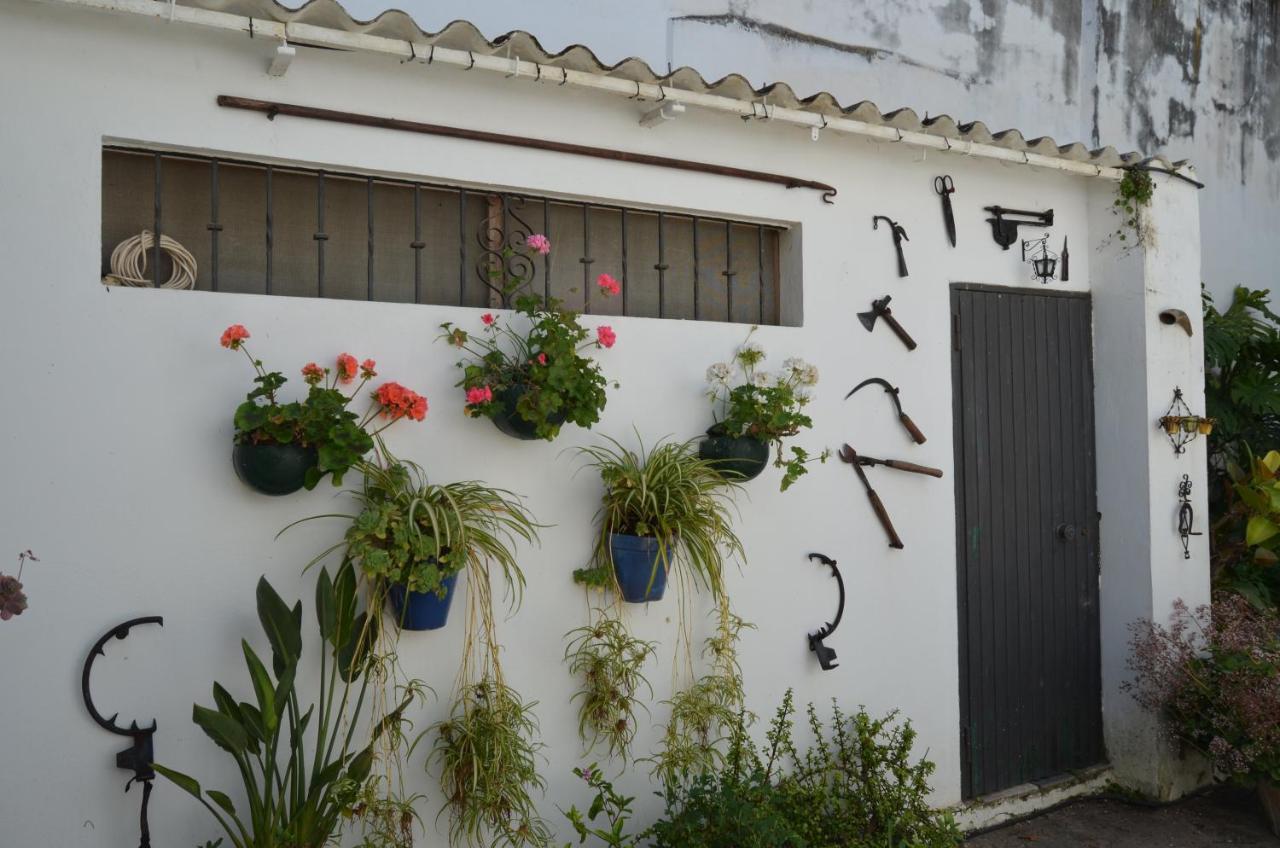 Casa Miler Apartment Sanlucar de Barrameda Exterior photo